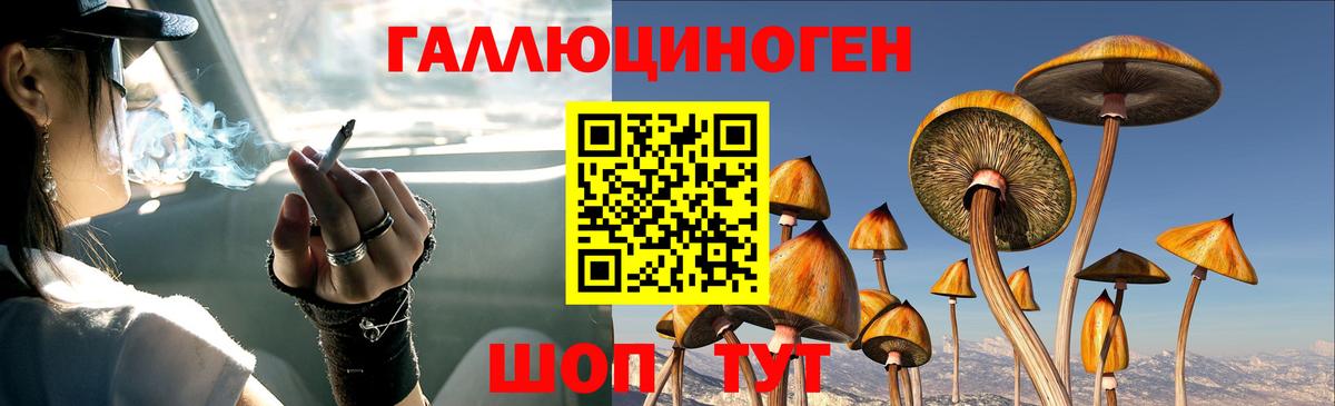 Качканар  Псилоцибиновые грибы мухоморы  Вход с VPN 