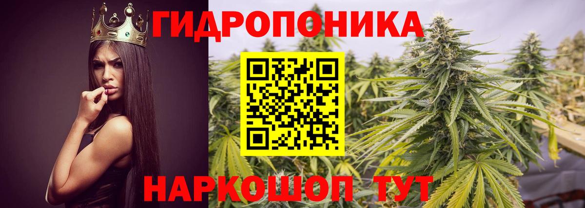 Каннабис конопля  Вход с VPN  Бошки Шишки THC 21%  Бошки Шишки AK-47  Качканар  Конопля семена 